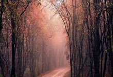 魅惑女巫是哪个电影里的