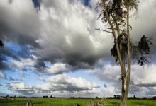 无主之地3君王哪里刷