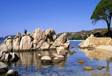 微博权重怎样提高